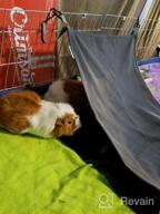 картинка 1 прикреплена к отзыву 🐹 Cozy Hangout: Homeya Small Animal Guinea-Pig Hanging Hammocks Bed - Perfect for Ferrets, Cats, Rats, Chinchillas, Hamsters, and More! от Bob Roberts