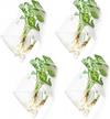 4 pack diamond-shaped wall planter: hanging plant terrarium, hydroponic succulent air plant holder for home decor logo