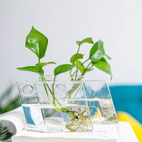 img 1 attached to 4 Pack Diamond-Shaped Wall Planter: Hanging Plant Terrarium, Hydroponic Succulent Air Plant Holder For Home Decor
