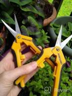 img 1 attached to Centurion 201 Hand Pruner Pruning Shear Straight & Upward Curved Stainless Steel Blade Precision Snip (Yellow, 6.5 Inch, Set Of 2) review by Alexis Jordan