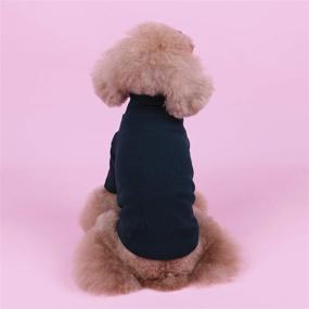 img 1 attached to Solid Color t-Shirts for Small Dogs - Sizing: Small, Color: Black