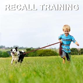 img 1 attached to Demigreat Long Leash Training 100Ft Dogs good for Training & Behavior Aids