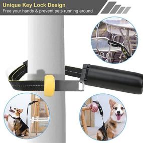 img 3 attached to 🐾 6ft Slip Lead Leash for Medium Small Dogs: Reflective Nylon Rope with Adjustable Paddle Handle - Heavy Duty, No Pull, Puppy Training and Walking Leash