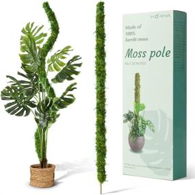 img 4 attached to 48 Inch HOXHA Bendable Moss Pole: Perfect Plant Stakes For Indoor Climbing Plants!