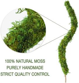 img 2 attached to 48 Inch HOXHA Bendable Moss Pole: Perfect Plant Stakes For Indoor Climbing Plants!