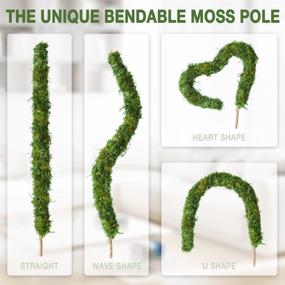 img 3 attached to 48 Inch HOXHA Bendable Moss Pole: Perfect Plant Stakes For Indoor Climbing Plants!