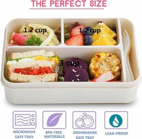 img 3 attached to Bento Box для детей и взрослых - контейнер для закусок с 4 отделениями, подходит для микроволновой печи и посудомоечной машины, не содержит BPA, с милой сумкой для ланча и посудой (серый)