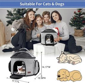 img 3 attached to AMJ Carrier Approved Portable Collapsible Cats