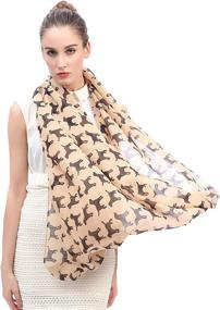 img 1 attached to Lina Lily Labrador Infinity Lightweight Women's Accessories in Scarves & Wraps