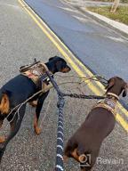 img 1 attached to Large 25-150 Lbs Black Dual Dog Leash With 360 Swivel No Tangle Walking, Shock Absorbing Bungee For Two Dogs - IYoShop review by Jason Hood