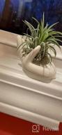 img 1 attached to White Ceramic Mini Hand-Shaped Air Plant Holder Stand For Tillandsia Container Pots Home Decor - 3 Pack review by Chris Worlds