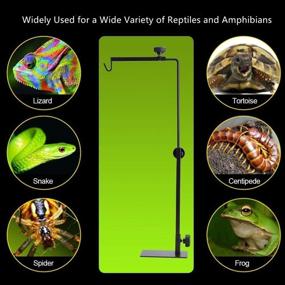 img 3 attached to Adjustable Reptile Lamp Stand - Metal Floor Light Support Bracket for Glass Terrariums with Heating Light (L)