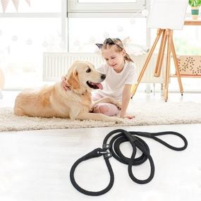 img 3 attached to Lynxking Dog Leash: 2-Handled Heavy Duty Braided Rope Slip Lead for Extra Control and Safety – 6ft Training Leash for Large and Medium Dogs