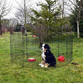 img 4 attached to 🐶 Lucky Dog Pet Playpen - Premium Modular Design for Your Furry Friend