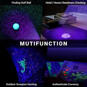 img 3 attached to MIU COLOR Flashlight Blacklight Detector Cats ... Litter & Housebreaking