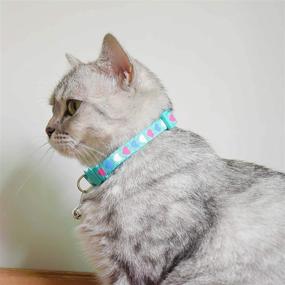 img 1 attached to 🐱 XPangle 6 Pcs Breakaway Cat Collar Set: Vibrant Nylon Kitty Collars with Bell, Mixed Colors for Kittens 7.5-12in