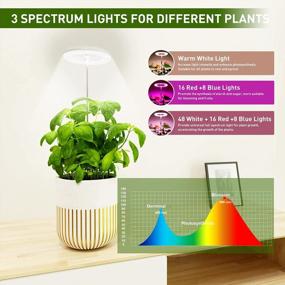 img 2 attached to Enhance Your Indoor Plant Growth With EWonLife Full Spectrum Grow Lights - 2 Pack, 3 Spectrum Modes, Adjustable Height, And Automated Timer