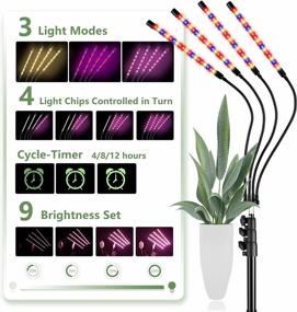 img 2 attached to Otdair Grow Light With Stand, Full Spectrum Plant Light For Indoor Plants With Remote, 4 Heads Dimmable Floor Grow Lamp With 4/8/12H Timer For Tall Plants, Auto ON/OFF, 3 Light Modes