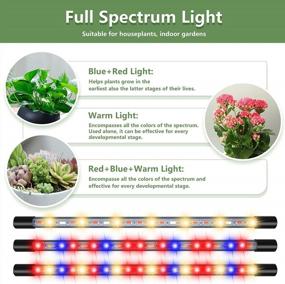 img 3 attached to Otdair Grow Light With Stand, Full Spectrum Plant Light For Indoor Plants With Remote, 4 Heads Dimmable Floor Grow Lamp With 4/8/12H Timer For Tall Plants, Auto ON/OFF, 3 Light Modes
