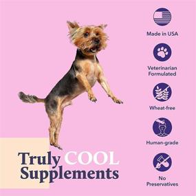 img 1 attached to 🐶 Enhance Your Dog's Skin & Coat with Kenn & Kit Supplements