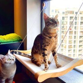 img 4 attached to 🐱 Umsicht Pine Wood Cat Window Perch – Secure Cat Window Hammock for Large Cats & Kittens – Sunbathing, Napping & Overlooking – Strong Suction Cups (43+ lbs), Unique Design