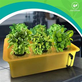 img 2 attached to Complete DWC Hydroponics Growing System 2Pack - Medium Size Kit For The Best Indoor Herb Garden With Airstone, Bucket, And Air Pump - 15% Discount On 6 Sites - Perfect For Cilantro And Mint