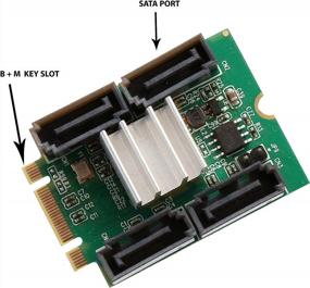 img 3 attached to 🔌 Syba 4 порт SATA III к M.2 M+B ключ NGFF NVMe и SATA адаптер-конвертер для разъема: улучшите производительность данных и гибкость хранения с SD-ADA40118