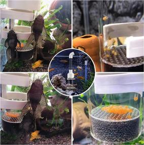 img 1 attached to Fish Egg Incubator Tumbler for Cichlids Aquarium Hatchery 🐟 with Air Pump, Isolation Breeding Box, Small Net, and Aquarium Tweezer