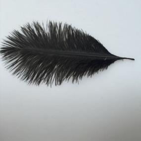 img 1 attached to Sowder 50Pcs Natural 8-10Inch(20-25Cm) Ostrich Feathers Home Wedding Decoration(Black)