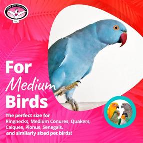 img 1 attached to 🐦 Super Bird Creations SB699 Activity Wall Toy for Medium-Sized Birds - Dimensions: 12" x 14" x 3