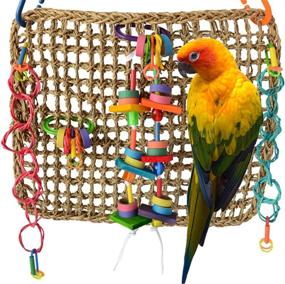 img 3 attached to 🐦 Super Bird Creations SB699 Activity Wall Toy for Medium-Sized Birds - Dimensions: 12" x 14" x 3
