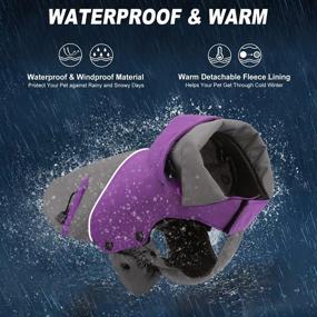 img 1 attached to PETLOFT Reflective Waterproof Windproof Detachable Dogs : Apparel & Accessories