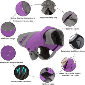 img 3 attached to PETLOFT Reflective Waterproof Windproof Detachable Dogs : Apparel & Accessories