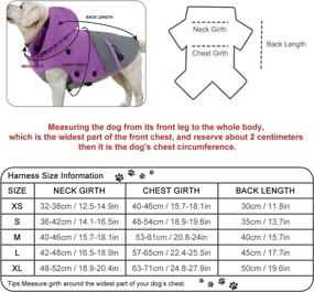 img 2 attached to PETLOFT Reflective Waterproof Windproof Detachable Dogs : Apparel & Accessories