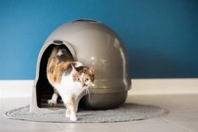 img 1 attached to 🐾 USA-Made Petmate Booda Clean Step Cat Litter Box Dome - Multi-Cat Closed Litterbox, Enclosed Indoor Cat Litterbox with Sustainable 95% Recycled Material