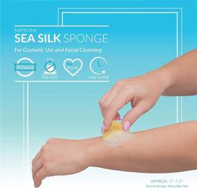 img 3 attached to 🧽 Neptune Silk Sponge - All-Natural Softness for Optimal Skin Care