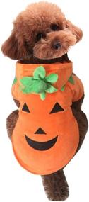 img 4 attached to Mogoko Dog Cat Halloween Pumpkin Costume: Cosplay Dress for Pets, Warm Fleece Hoodie Outfit for Autumn and Winter