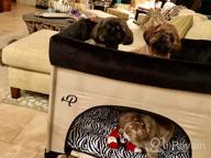 картинка 1 прикреплена к отзыву Дизайн-лежак Lion's Den Petique Bedside Lounge Bunk Bed для среднего размера собак и кошек: поднятый лежак для максимального комфорта. от David Hodgson