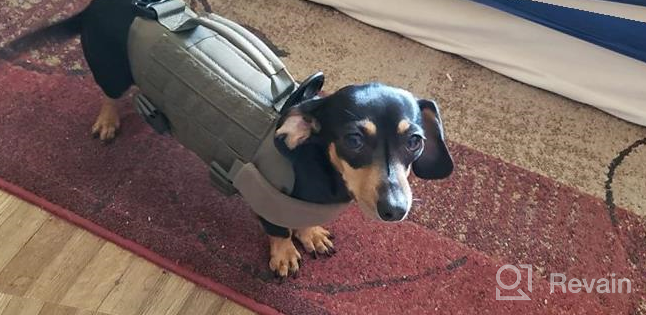 img 1 attached to Tactical Military Dog Harness With Vertical Handle And Durability For Small Puppies - XS (Neck: 11"-17", Chest: 15"-22") review by Sonny Flores