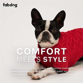 img 1 attached to Fabdog Super Chunky Knit Turtleneck Dog Sweater - Red (16 inches)