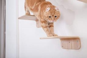 img 2 attached to MYZOO Lack: Wall Mounted Cat Shelf, Wooden Cat Furniture, Floating Cat Perch, Cat Tree (M, Oak)