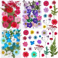 🌸 thrilez 100-piece pressed dried flowers kit for resin molds - natural flower herbs for scrapbooking, card making, resin jewelry, soap, and candle crafts (blue, purple, red) logo