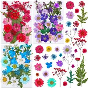 img 4 attached to 🌸 Thrilez 100-Piece Pressed Dried Flowers Kit for Resin Molds - Natural Flower Herbs for Scrapbooking, Card Making, Resin Jewelry, Soap, and Candle Crafts (Blue, Purple, Red)
