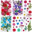 🌸 thrilez 100-piece pressed dried flowers kit for resin molds - natural flower herbs for scrapbooking, card making, resin jewelry, soap, and candle crafts (blue, purple, red) logo