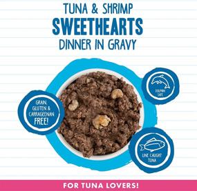 img 3 attached to 🐱 Weruva B.F.F. - Best Feline Friend: Grain-Free Natural Wet Cat Food, Original Recipes in Gravy - Product Review and Availability