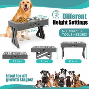 img 3 attached to URPOWER Elevated Dog Bowls Adjustable Raised Dog Bowl With 2 Stainless Steel 1.5L Dog Food Bowls Stand Non-Slip No Spill Dog Dish Adjusts To 3 Heights 2.8”, 8”, 12”For Small Medium Large Dogs And Cats