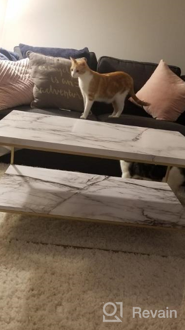 img 1 attached to Roomfitters White Marble Print Coffee Table, Upgraded Water Resistant Top Surface, Accent Rectangular Cocktail Table With Black Metal Box Frame, Sofa Table For Living Room, Home Furniture Decoration review by Alan Miller