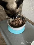 img 1 attached to Stainless Steel Elevated Cat Bowl – Tilted Cat And Small Dog Food Bowls To Improve Digestion And Reduce Neck Strain – Easy-To-Clean Cat Feeder With Sturdy, Nonslip Base By AmazinglyCat review by Scott Kalinowski