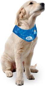 img 3 attached to 🐶 ALL FOR PAWS Cooling Neck Wraps: Keep Your Dog Cool with Ice Bandanas and Chill Out Blue Collar!