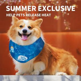 img 1 attached to 🐶 ALL FOR PAWS Cooling Neck Wraps: Keep Your Dog Cool with Ice Bandanas and Chill Out Blue Collar!